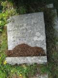 image of grave number 444697